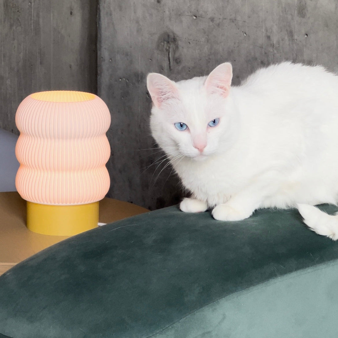 Lola Table Lamp – Stylish Modern Lighting