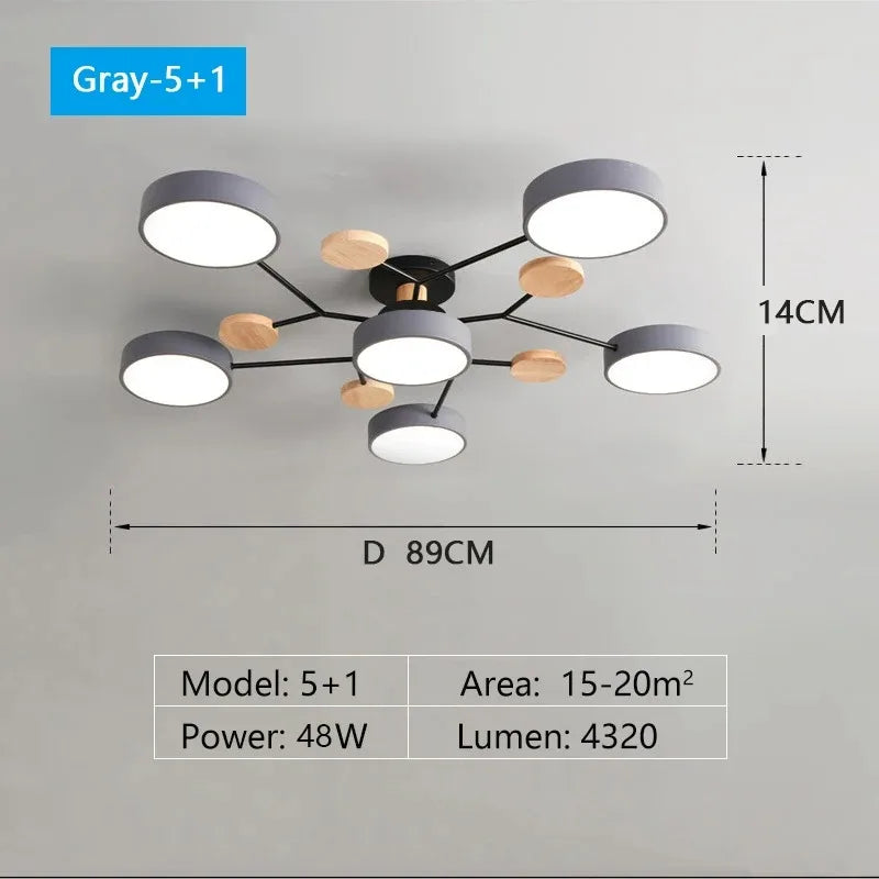 LED Ceiling Light Large Fixture
