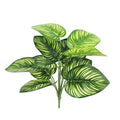Dlight Decor 43cm Monstera Turtle Leaf Palm Branch for Home and Garden Decor