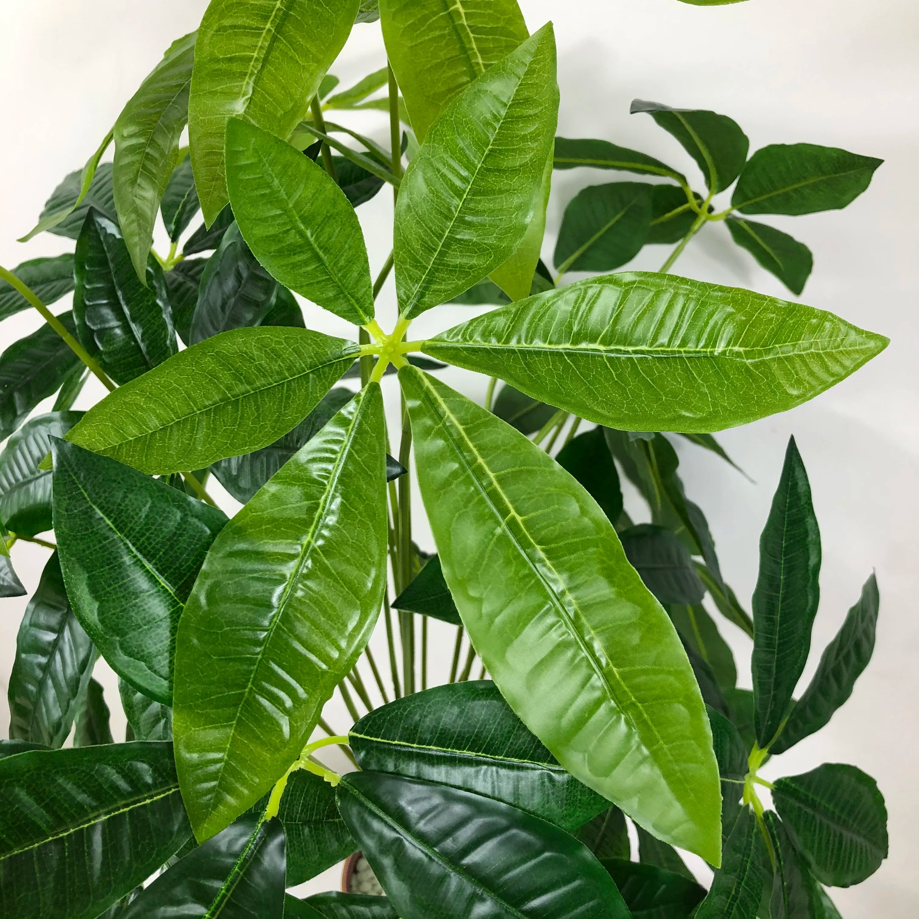 Dlight Decor Monstera Tree for Lush Indoor Outdoor Vibe