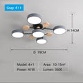 LED Ceiling Light Large Fixture